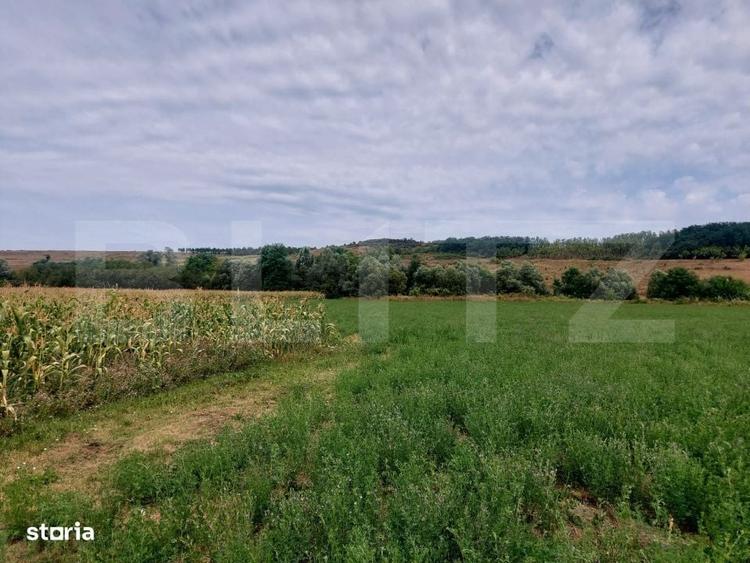 Spațiu comercial, în Fundătura