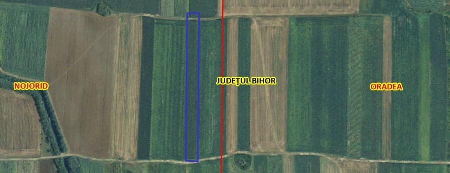 Teren extravilan de 6454 mp, în Nojorid