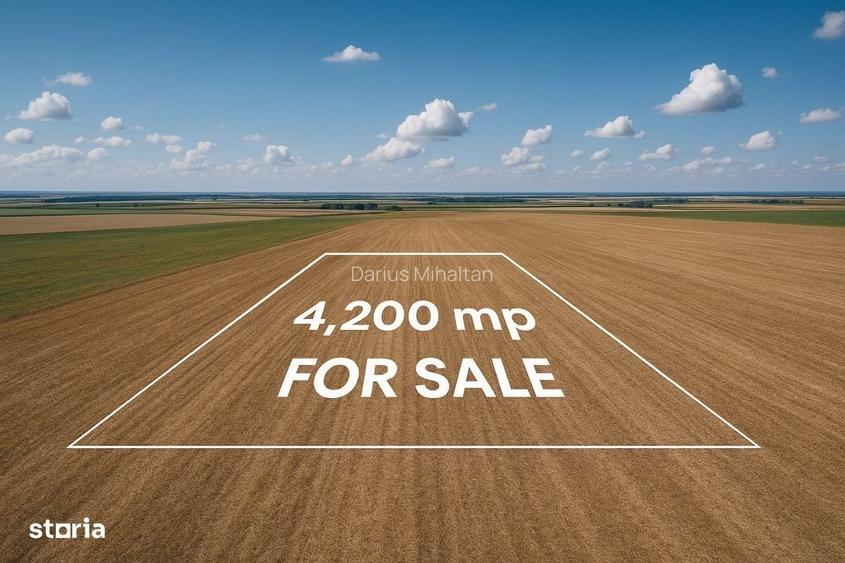 Teren extravilan 4200mp Daia Romana - Alba