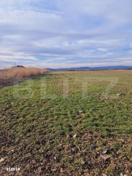 Teren de 8700 mp, în Prejmer