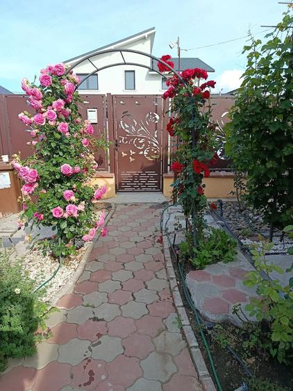 Casă cu Teren 500 Mp în Cazasu