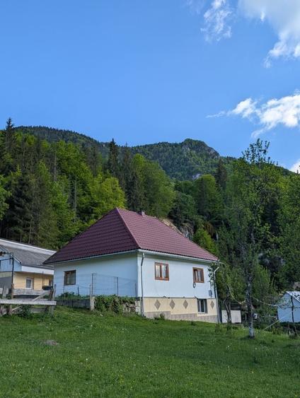 Casă cu 3 camere în Vidra