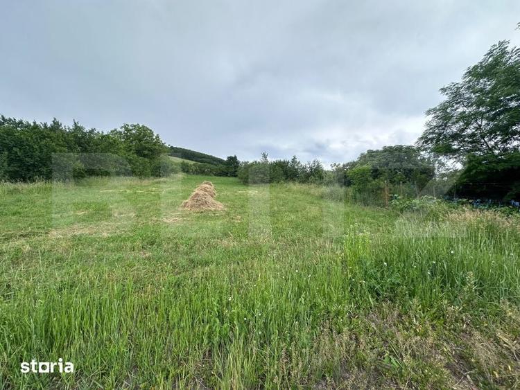 Casă cu 5 camere cu Teren 5000 Mp în Monor