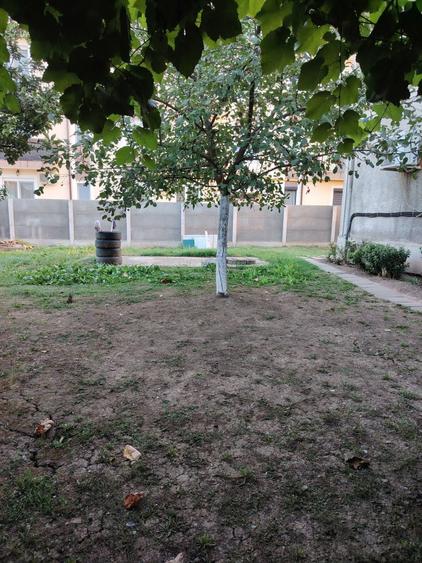 Apartament cu 2 camere decomandat în Remetea Mare