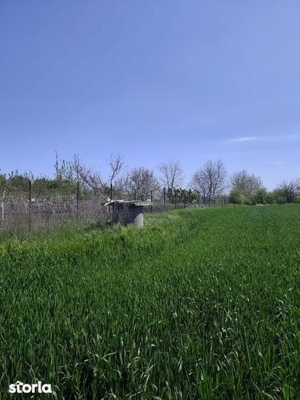 Teren de vanzare 2500 mp, Martacesti, Braila - 5