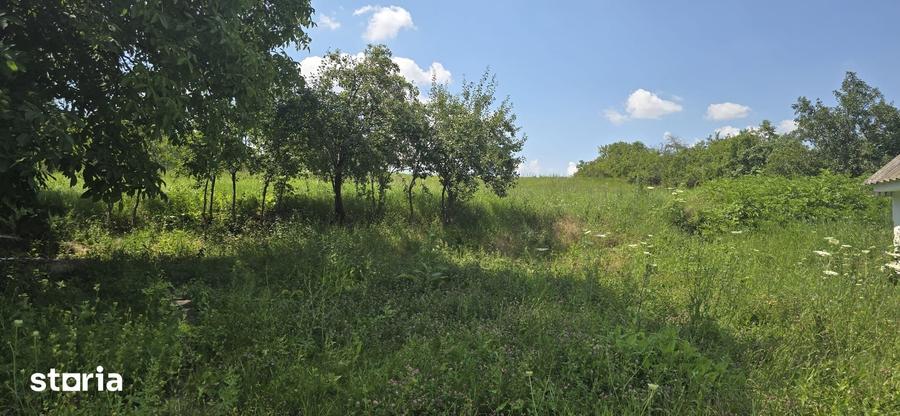 Teren de 2800 mp, în Horlești