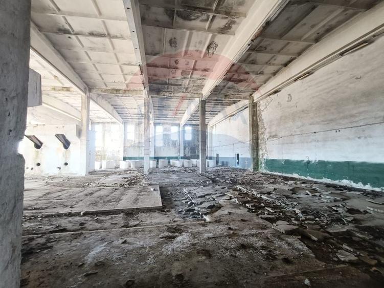 Spațiu industrial, de 5,000 mp, în Niculițel