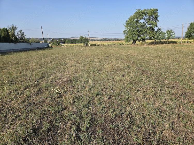 Casă cu 3 camere cu Teren 1200 Mp în Grumăzești