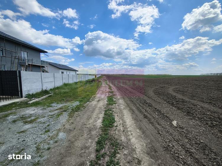 Teren de 3000 mp, în Cernica
