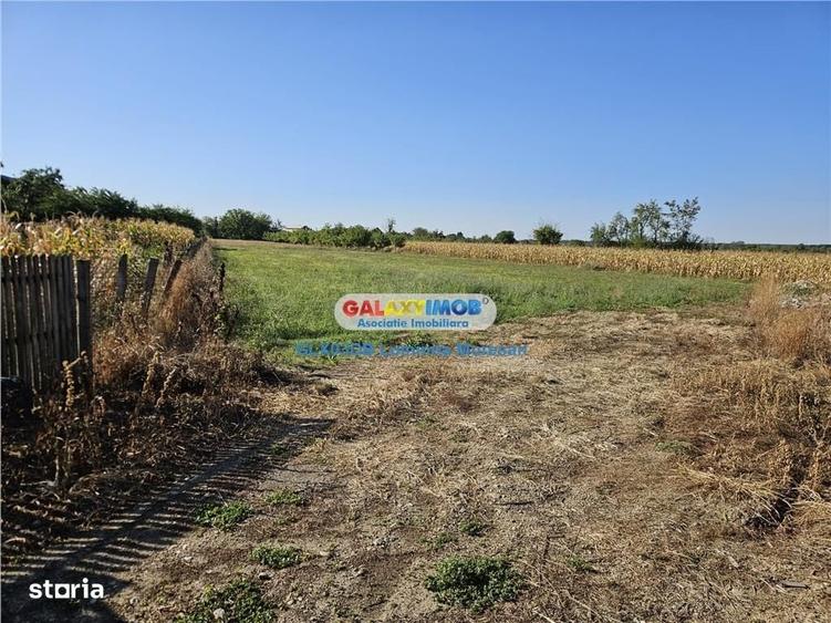 Spațiu comercial, în Dragomirești