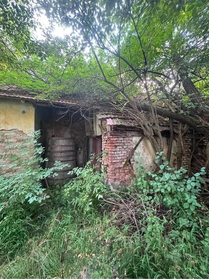 Teren de 1200 mp, în Bunești