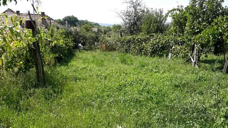 Duplex cu 5 camere cu Canalizare în Izvoarele (Blaj)