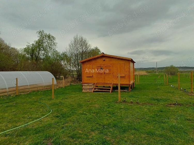 Teren de vanzare la marginea padurii, aproape de Sali?te, jud Sibiu