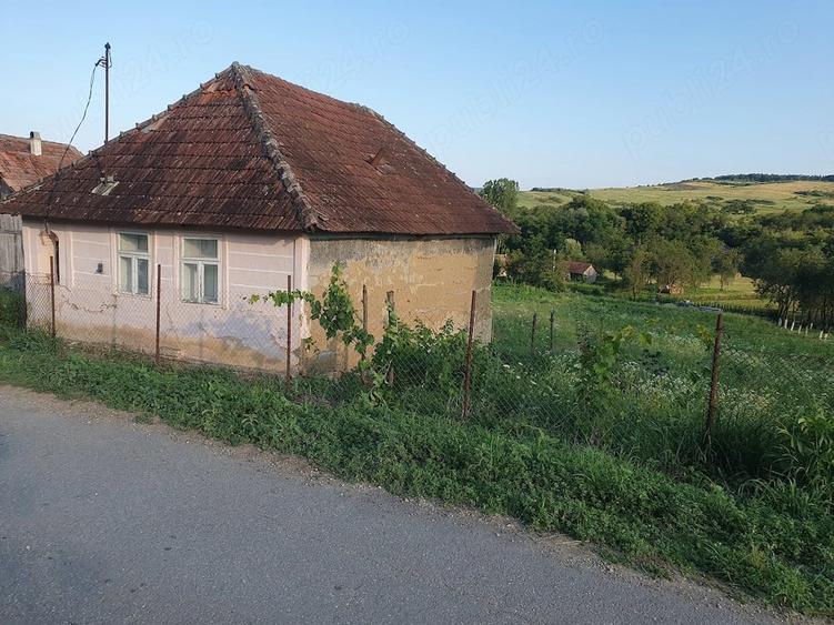 Teren de 3300 mp, în Firminiș