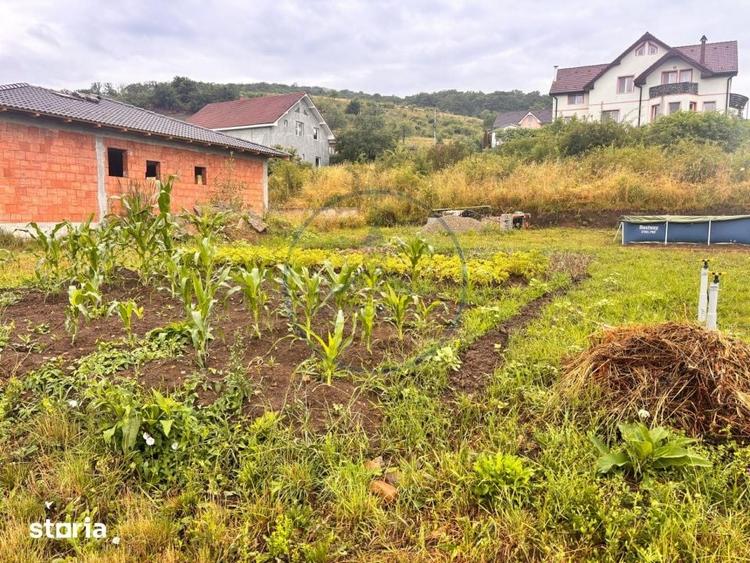 Teren de 550 mp, în Viișoara
