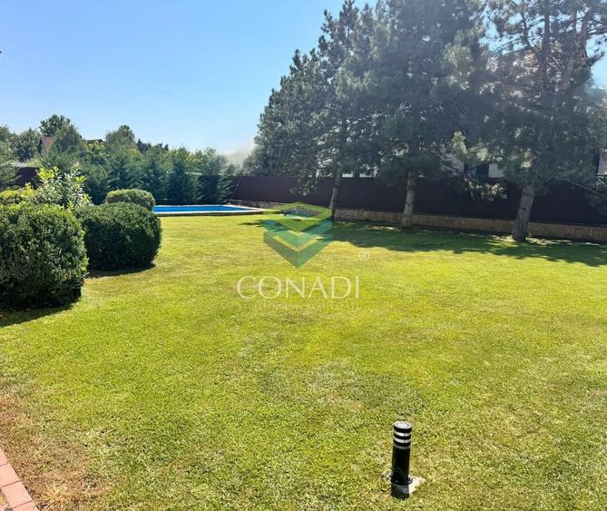 Casă individuală cu 7 camere cu Piscina în Iancu Nicolae