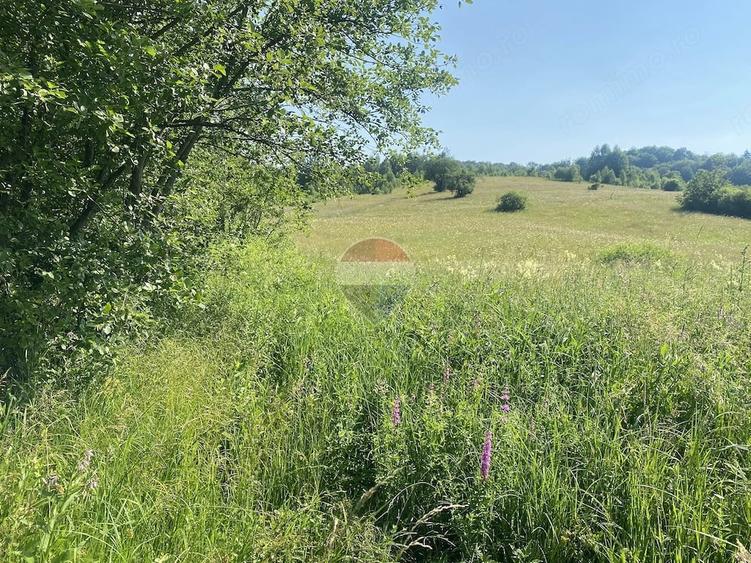 Teren de 4306 mp, în Vama Buzăului