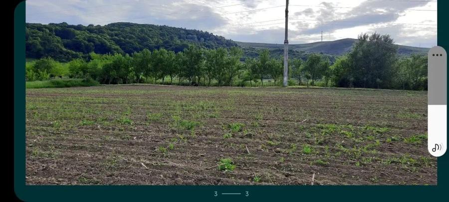 Teren de 2900 mp, în Fizeșu Gherlii