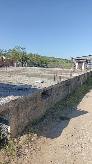 Teren de 1493 mp, în Petrani