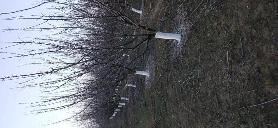 Teren de 500 mp, în Iratoșu