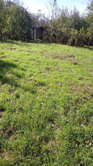 Teren de 1650 mp, în Făclia
