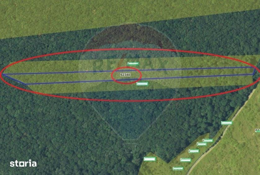Teren de 7000 mp, în Dealu Morii