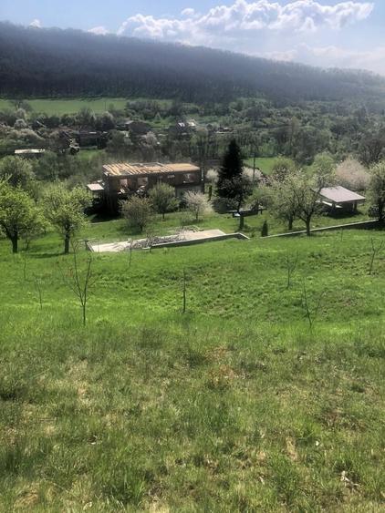 Spațiu comercial, în Luieriu