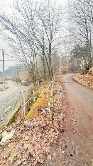 Teren intravilan de 24880 mp, în Griviței