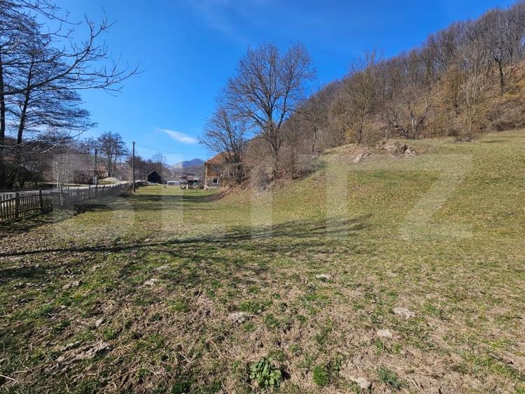 Casă individuală cu 3 camere cu Teren 6820 Mp în Almașu Mare