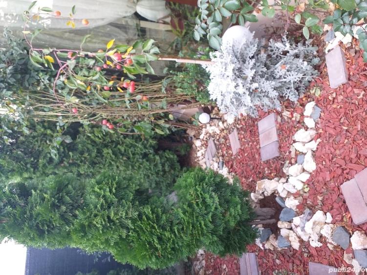 Casă în Trivale