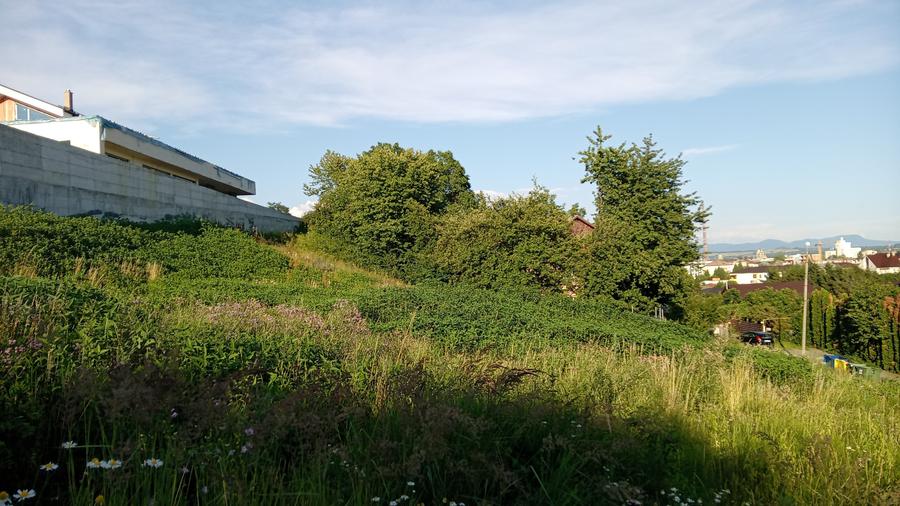Teren Construcții intravilan de 1813 mp, în Săsar