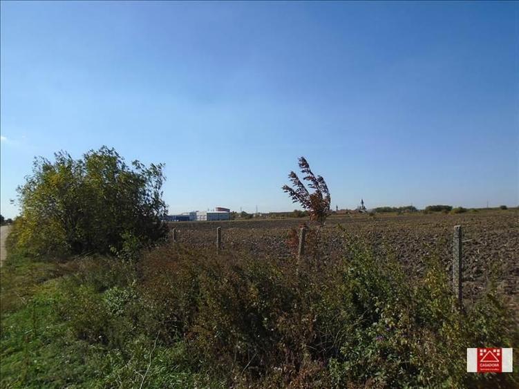Teren agricol intravilan de 46500 mp, în Nord-Vest