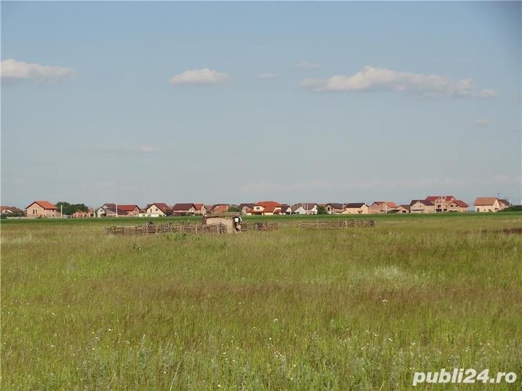 Teren de 32000 mp, în Moșnița Veche