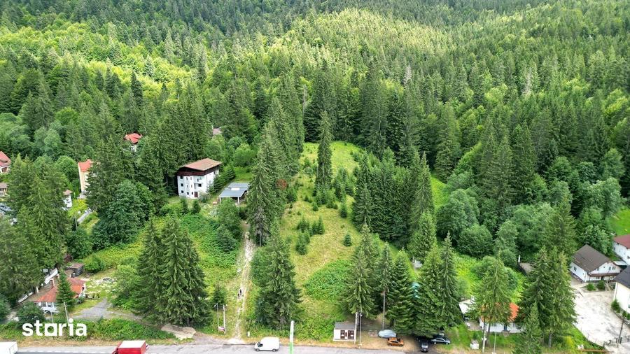 Teren de 9000 mp, în Malul Ursului