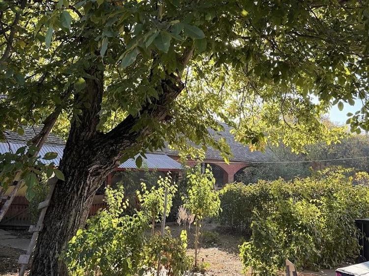 Casă individuală cu 4 camere cu Teren 3000 Mp în Rast