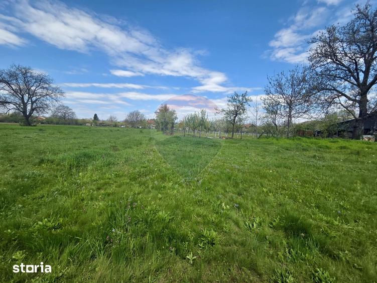 Teren de 4733 mp, în Drajna