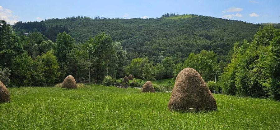 Spațiu comercial, în Valea Doftanei
