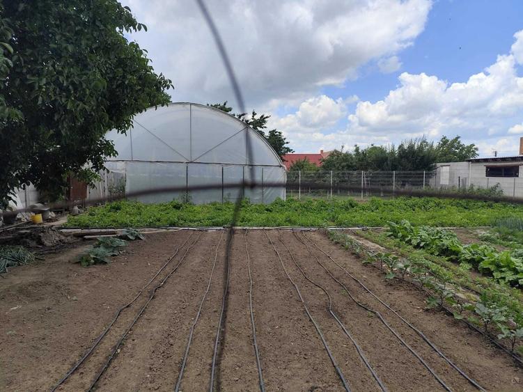 Vand loc de casa in loc Carei - 4