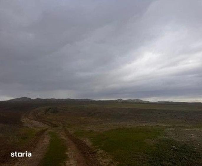 Teren de 15000 mp, în Nalbant