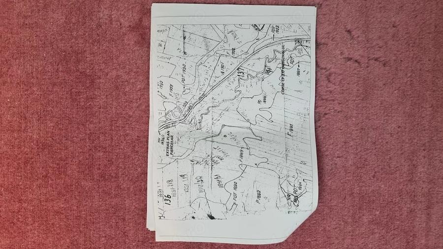 Teren de 10000 mp, în Luncani