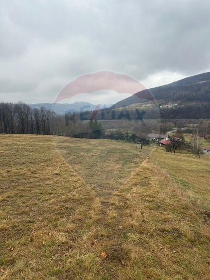 Teren Construcții intravilan de 7135 mp, în Negreni