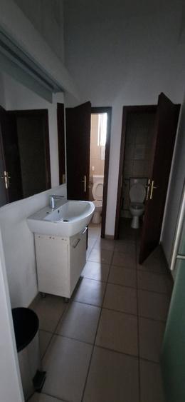Birou, de 400 mp, în Theodor Pallady