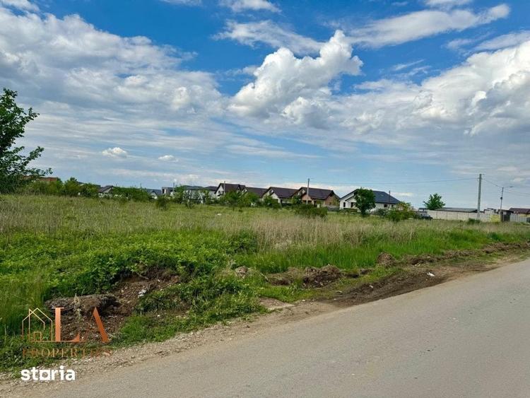 Teren de 10000 mp, în Domnești