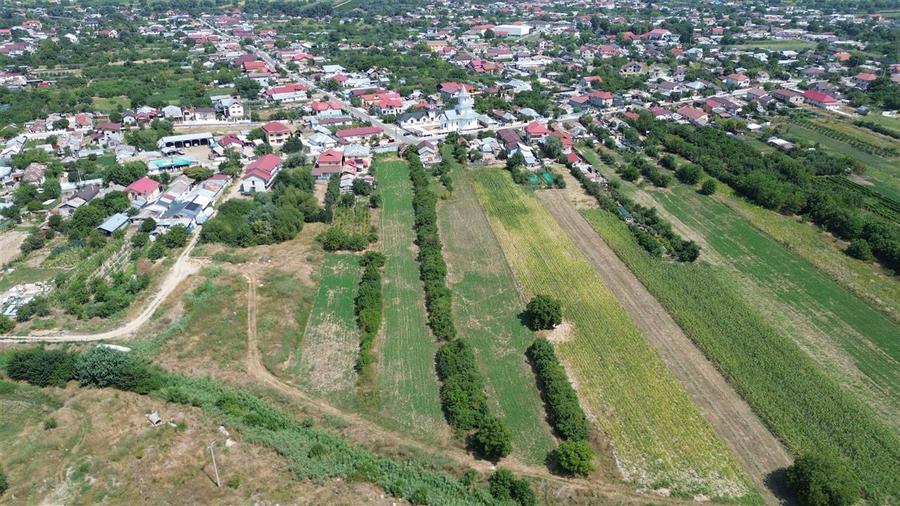 Teren Construcții intravilan de 4699 mp, în Milcovul