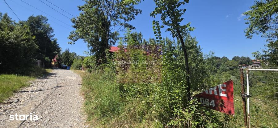 Teren 4.519 mp intravilan de vanzare in Breaza