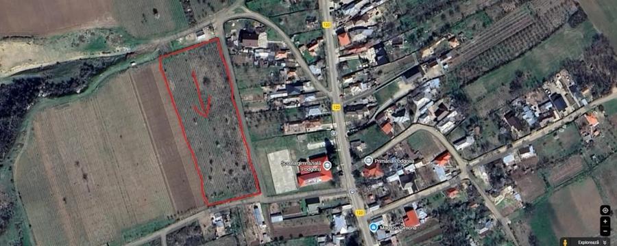 Teren de 5502 mp, în Podgoria