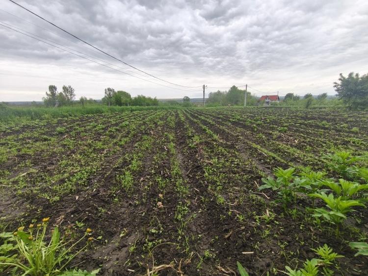 Casă individuală cu 2 camere cu Garaj în Grămești