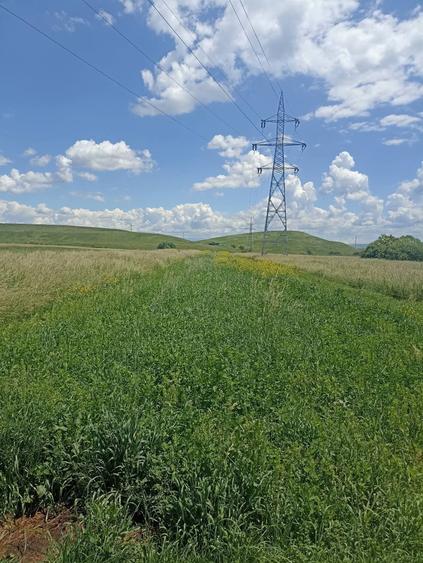 Teren agricol extravilan de 2900 mp, în Periferie