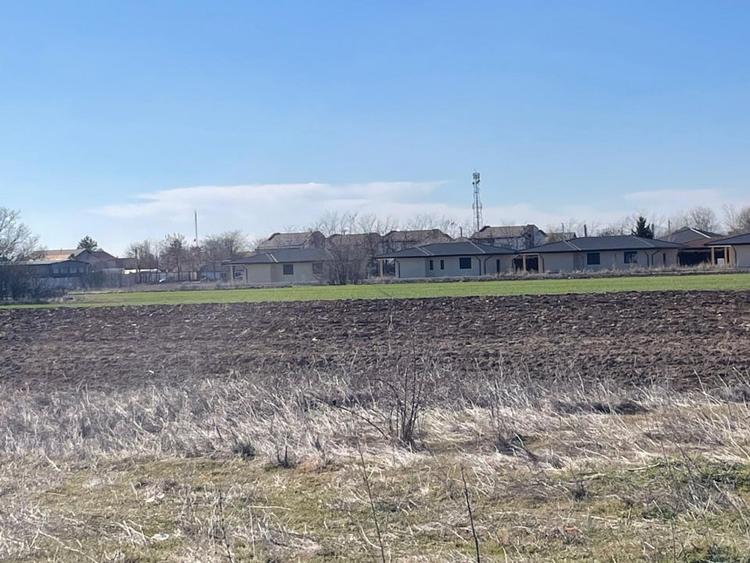 Teren Construcții intravilan de 5000 mp, în Ciorogârla