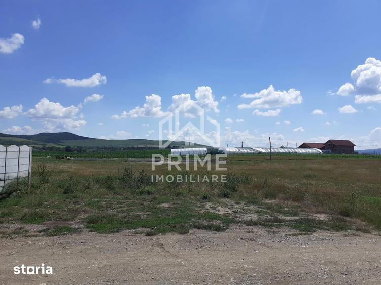 Teren de 413 mp, în Micești